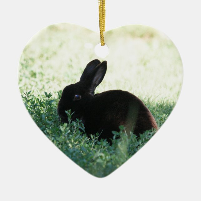 Ornement En Céramique Lapin noir de Lil (Devant)