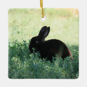 Ornement En Céramique Lapin noir de Lil