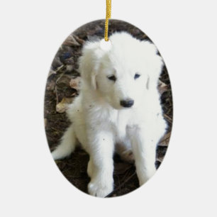 Ornement En Céramique Le chiot de Grands Pyrénées s'est levé
