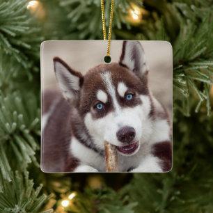 Ornement En Céramique Le chiot sibérien Husky à la plage