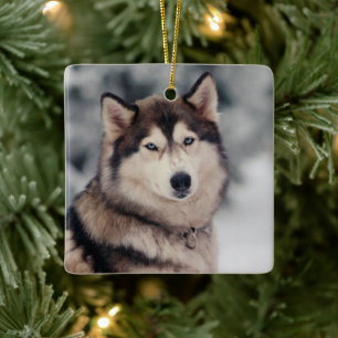 Ornement En Céramique Le magnifique Husky en plein air