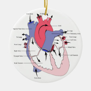 Ornement En Céramique Le schéma 2. coeur Function.jpg de normale