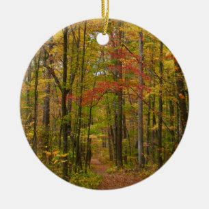 Ornement En Céramique Le sentier Laurel Hill à l'automne