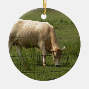 Ornement En Céramique Les charolais effrayent le pâturage dans le