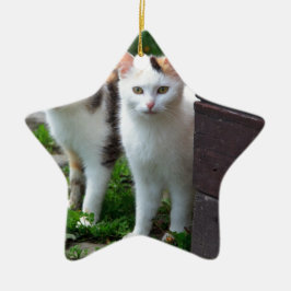 Ornement En Céramique Les chats jouent