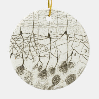 Ornement En Céramique Les neurones 8 de Cajal