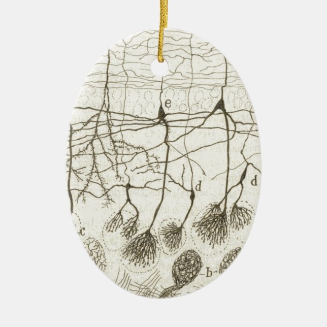 Ornement En Céramique Les neurones 8 de Cajal (Devant)