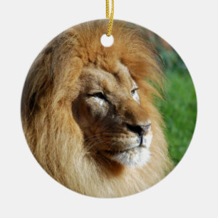 Ornement En Céramique Lion