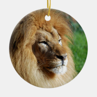 Ornement En Céramique Lion