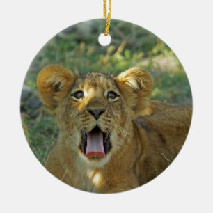 Ornement En Céramique Lion Cub Yawn