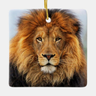 Ornement En Céramique Lion d'Afrique 1
