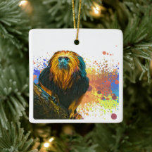Lion Tamarin à tête dorée