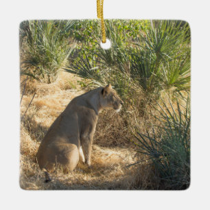 ORNEMENT EN CÉRAMIQUE LIONNE 15 BOTSWANA