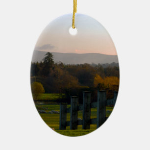 Ornement En Céramique L'Irlande est belle