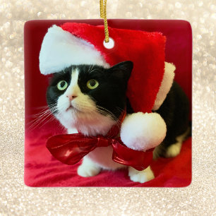Ornement En Céramique L'ornement de Noël apprend le chat Tuxedo