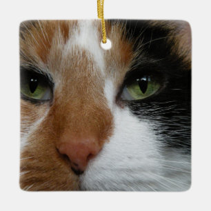 Ornement En Céramique L'ornement du chat de Calico