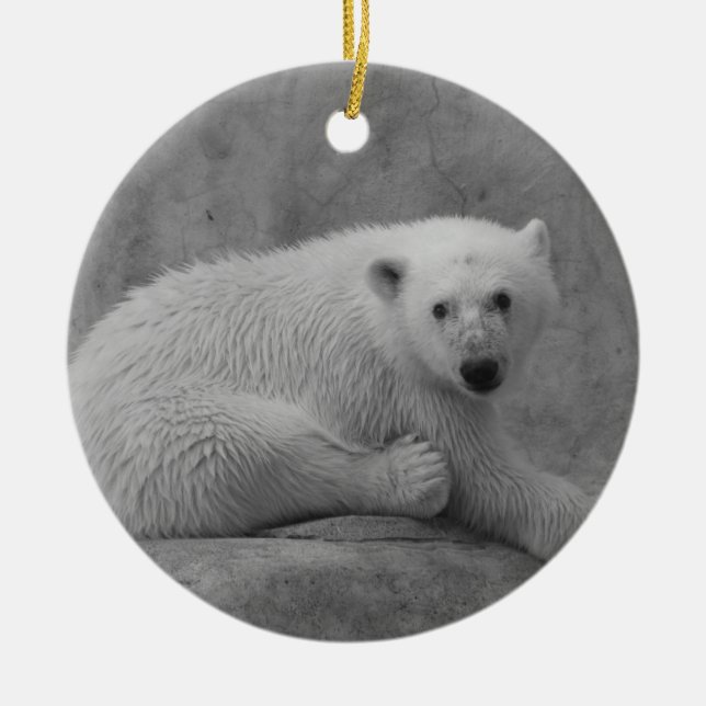 Ornement En Céramique L'ours blanc CUB ornementent (Devant)