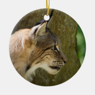 Ornement En Céramique Lynx eurasien