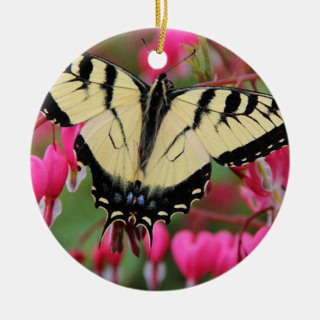 Ornement En Céramique Machaon oriental (Devant)