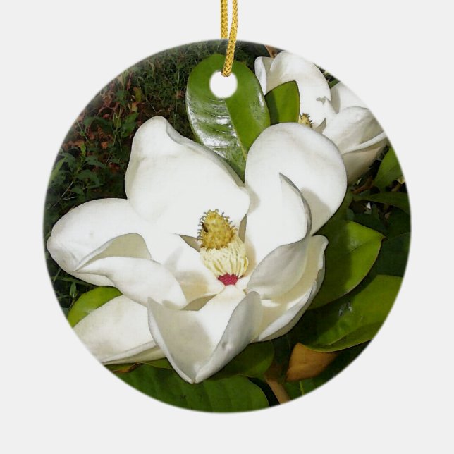 Ornement En Céramique Magnolia blossom (Devant)
