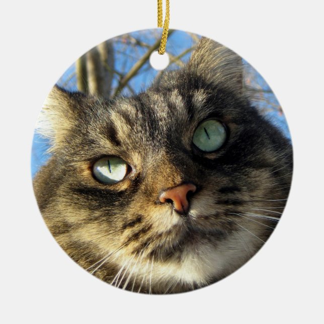 Ornement En Céramique Maine Coon Chat Kitty (Devant)