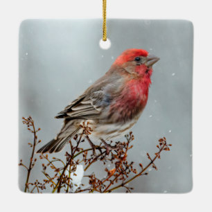 Ornement En Céramique Maison Finch en Neige - Photo originale