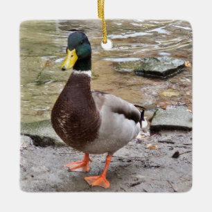 Ornement En Céramique Mallard Duck