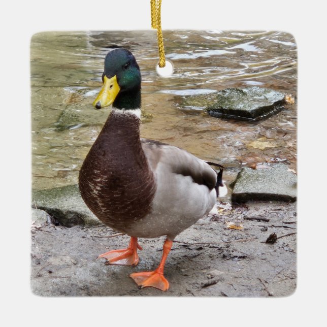Ornement En Céramique Mallard Duck (Devant)