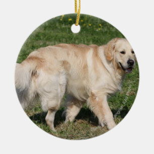 Ornement En Céramique Marche de golden retriever