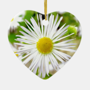 Ornement En Céramique Marguerite Fleabane
