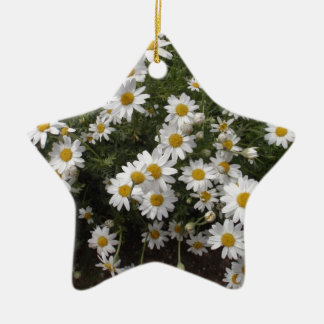 Ornement En Céramique Marguerites de Michaelmas