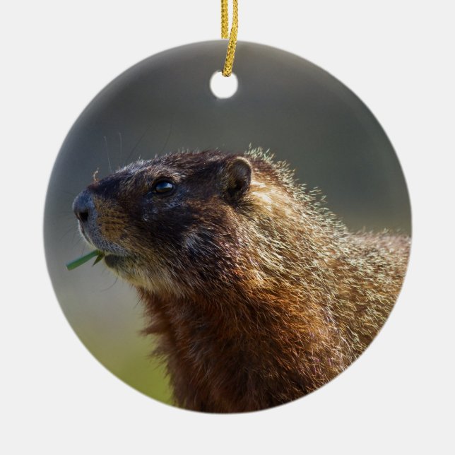 Ornement En Céramique Marmot (Devant)
