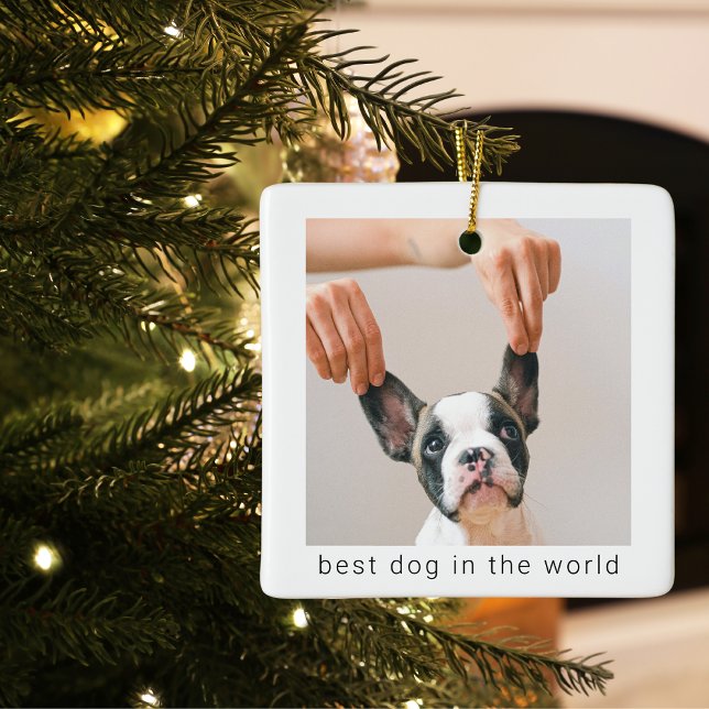 Ornement En Céramique Meilleur Chien Au Monde | Photo de chien (Créateur téléchargé)