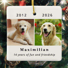 Ornement En Céramique Mémorial de chien personnalisé avec 2 photos
