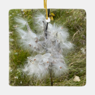 Ornement En Céramique Milkweed   Papillon  