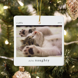 Ornement En Céramique Minimal Définir Naughty Pet Photo Keepsaké