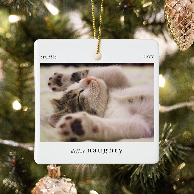 Ornement En Céramique Minimal Définir Naughty Pet Photo Keepsaké (Créateur téléchargé)
