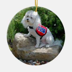 Ornement En Céramique Mme Dolly MaltiPoo
