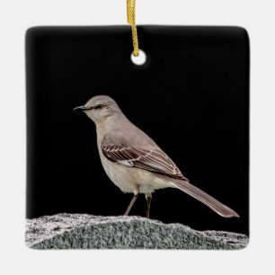 Ornement En Céramique Mockingbird sur une pierre tombale