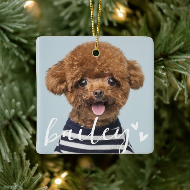 Ornement En Céramique Moderne Jouer Simple Coeurs Chic Pet Photo (Arbre)