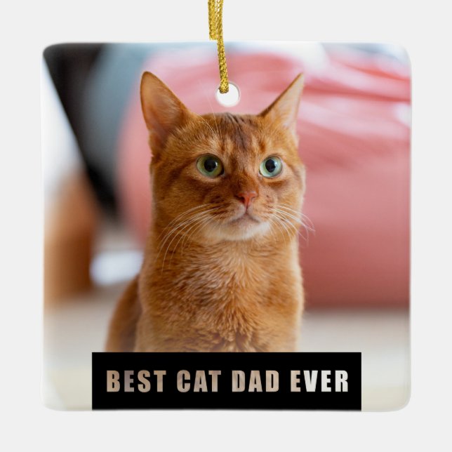 Ornement En Céramique Moderne Meilleur Chat Papa Jamais Photo Noël (Devant)