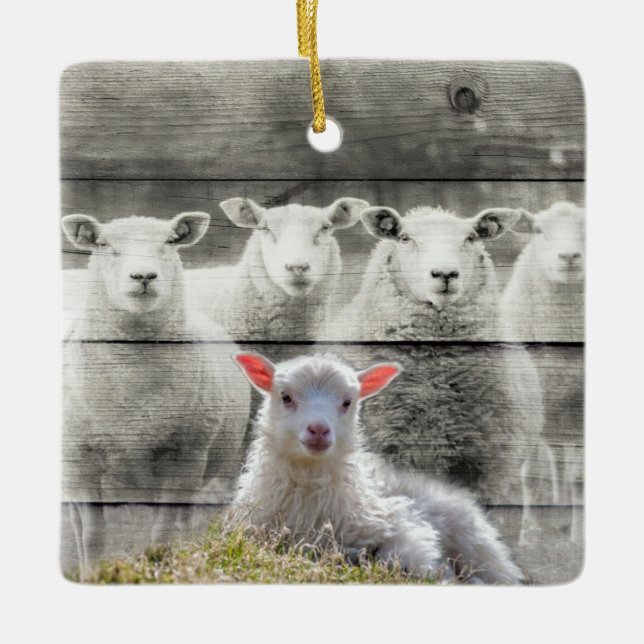 Ornement En Céramique Mouton d'agneau de bébé (Devant)