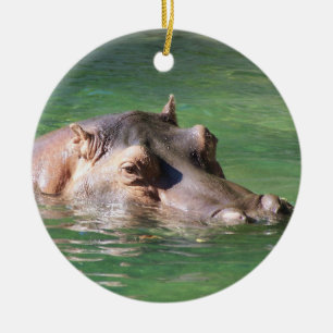 Ornement En Céramique Natation d'hippopotame sur la surface