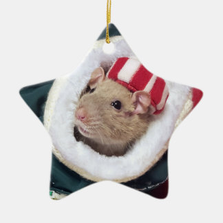 Ornement En Céramique NEW!  Pet Rat Coco Ornament