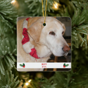 Ornement En Céramique Noël Animaux Modèles photo Rouge Et Blanc