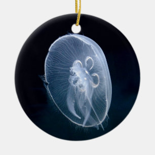 Ornement En Céramique Noël bleu lumineux d'anniversaire de méduses