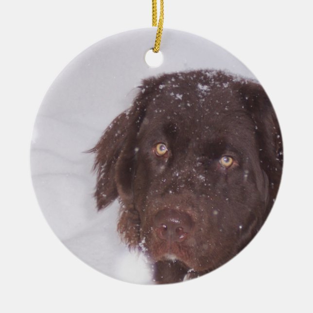 Ornement En Céramique Noël de fille de Newfy (Devant)