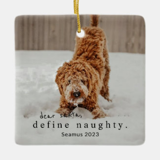 Ornement En Céramique Noël Photo Animal Ornament - définir vilain