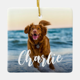 Ornement En Céramique Nom photo du chien chic moderne jouant
