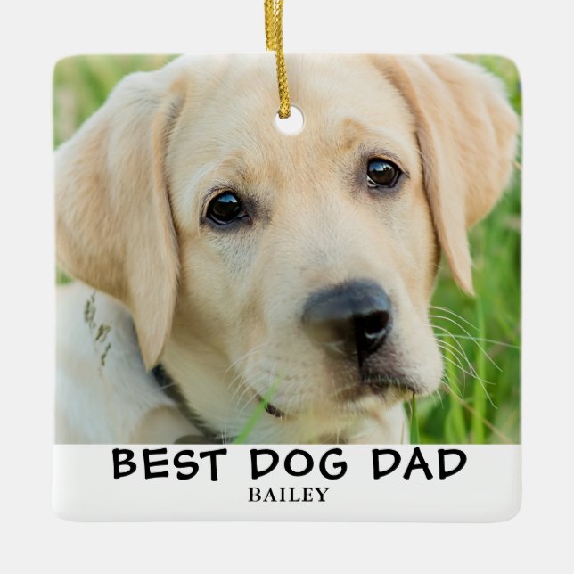 Ornement En Céramique Nom photo du meilleur chien papa 2 (Devant)